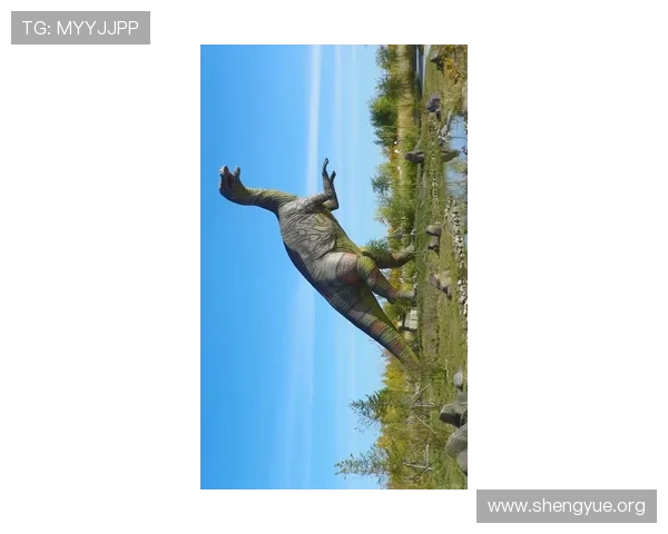 九游电脑版官方版本更新内容解析,掌握最新游戏动态与优化措施 九游电脑版官方版本更新内容解析,掌握最新游戏动态与优化措施