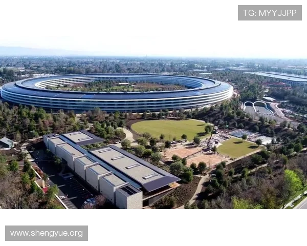 星空体育网页版登录入口官方入口地址及登录流程详细介绍